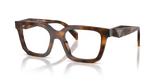 Juniper Tortoise / Demo Lens (20D1O1)