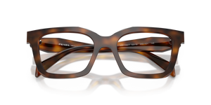 Juniper Tortoise / Demo Lens (20D1O1)
