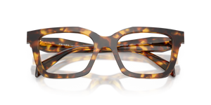 Honey Tortoise / Demo Lens (14L1O1)
