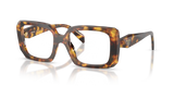 Honey Tortoise / Demo Lens (14L1O1)