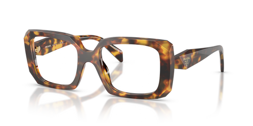 Honey Tortoise / Demo Lens (14L1O1)