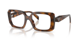 Juniper Tortoise / Demo Lens (20D1O1)