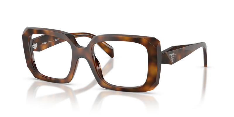 Prada PR C09V in Juniper Tortoise / Demo Lens (20D1O1) - Alternate View