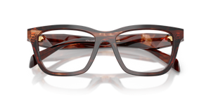 Caramel Tortoise / Demo Lens (14P1O1)