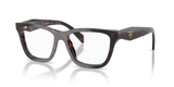 Root Tortoise / Demo Lens (17N1O1)