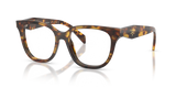 Honey Tortoise / Demo Lens (14L1O1)