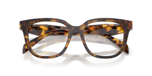 Honey Tortoise / Demo Lens (14L1O1)