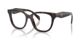Root Tortoise / Demo Lens (17N1O1)