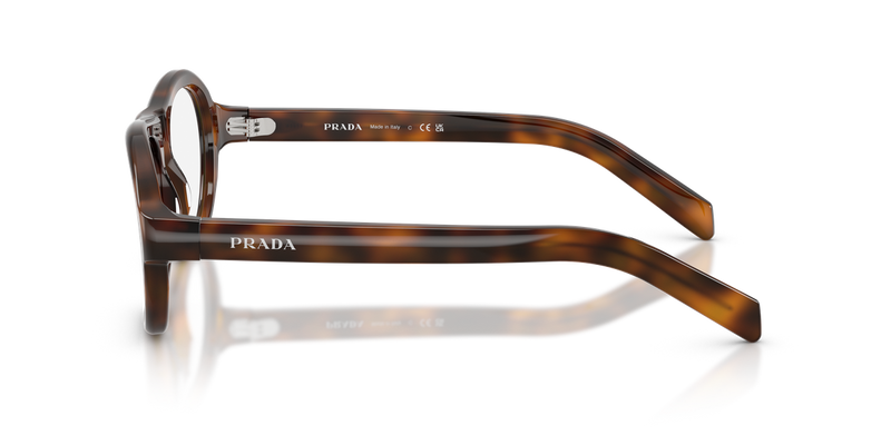 Prada PR C12V in Juniper Tortoise / Demo Lens (20D1O1) - Alternate View