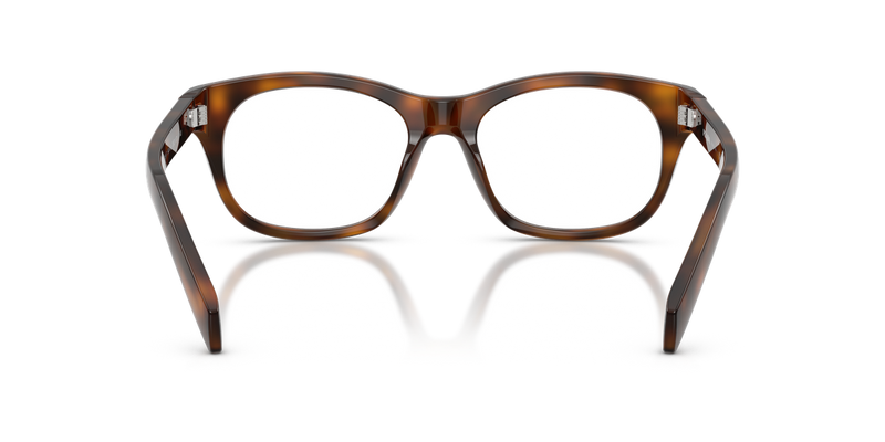 Prada PR C13VF in Juniper Tortoise / Demo Lens (20D1O1) - Alternate View