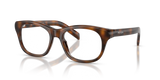 Juniper Tortoise / Demo Lens (20D1O1)