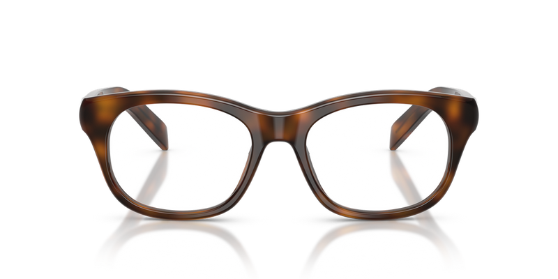 Prada PR C13V in Juniper Tortoise / Demo Lens (20D1O1) - Alternate View