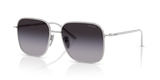 Silver / Grey Gradient (1BC90A)