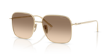 Pale Gold / Light Brown Gradient Light Grey (ZVN50T)