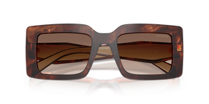 Caramel Tortoise / Brown Gradient (00K10S)