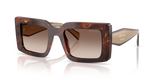 Caramel Tortoise / Brown Gradient (00K10S)