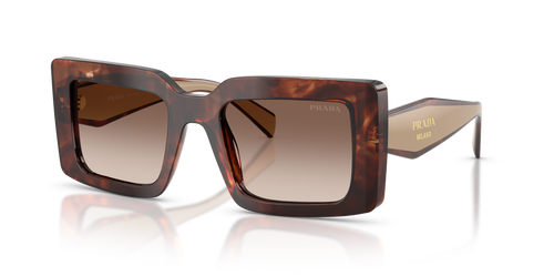 Caramel Tortoise / Brown Gradient (00K10S)