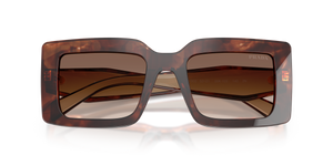 Caramel Tortoise / Brown Gradient (00K10S)