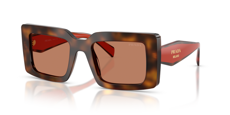 Prada PR D01S in Juniper Tortoise/Cotto / Brown (01K90Q) - Alternate View
