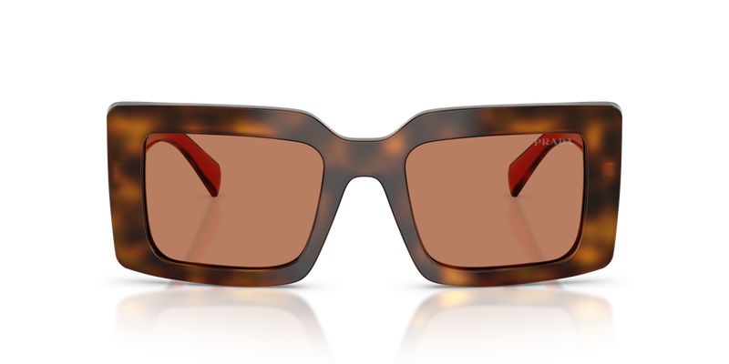 Prada PR D01S in Juniper Tortoise/Cotto / Brown (01K90Q) - Alternate View