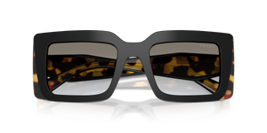 Black/Medium Tortoise / Grey Gradient (0CD80L)