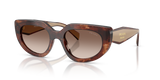 Caramel Tortoise / Brown Gradient (00K10S)