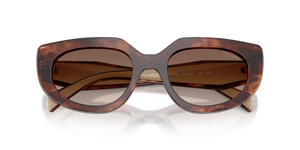 Caramel Tortoise / Brown Gradient (00K10S)
