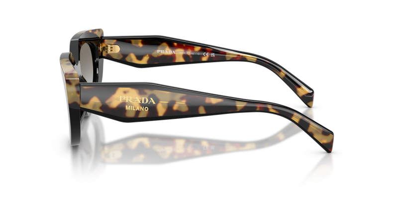 Prada PR D02SF in Black/Medium Tortoise / Grey Gradient (0CD80L) - Alternate View