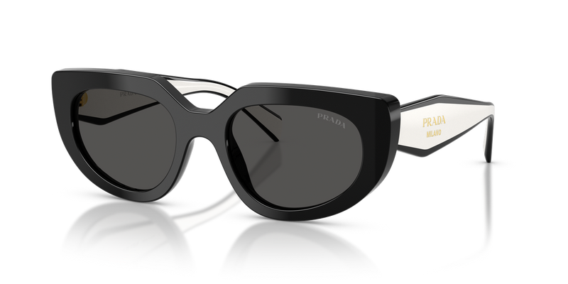 Prada PR D02SF in Black / Dark Grey (20G08Z) - Alternate View