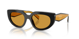 Black / Dark Honey (02K50P)