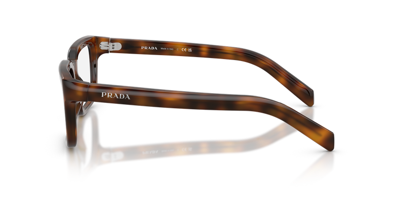 Prada PR D04VF in Juniper Havana / Demo Lens (20D1O1) - Alternate View