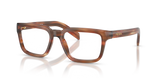 Oak Havana / Demo Lens (24G1O1)
