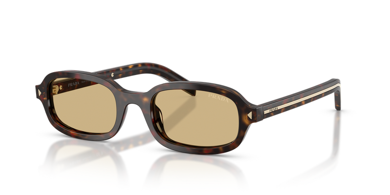 Prada PRD06SF in Root Tortoise - Alternate View