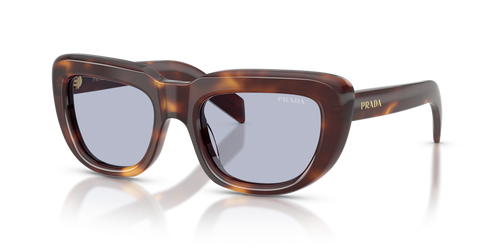 Classic Tortoise / Blue (15W30X)