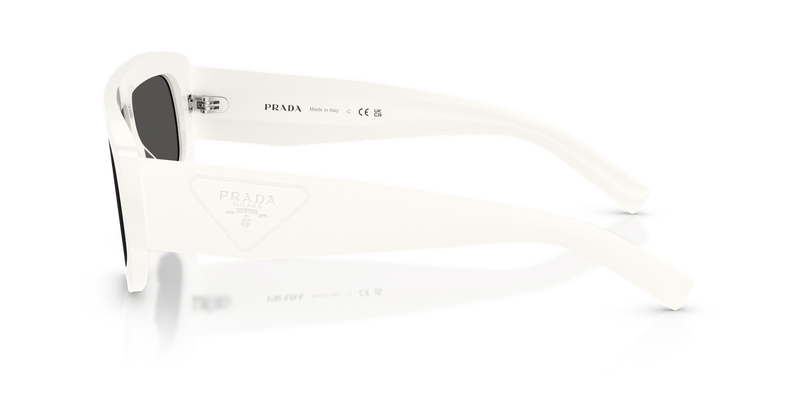 Prada PR D10S in Talc / Dark Grey (17K08Z) - Alternate View