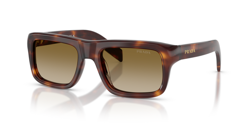 Prada PRD11SF in Classic Tortoise - Front View