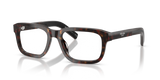 Root Tortoise / Demo Lens (17N1O1)