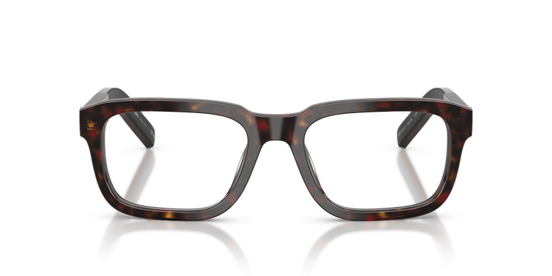 Prada PRD12VF in Root Tortoise - Alternate View