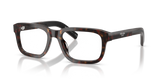 Root Tortoise / Demo Lens (17N1O1)