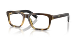 Mahogany Tortoise Gradient / Demo Lens (22P1O1)