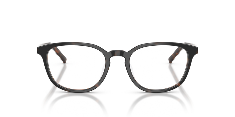 Prada PRD14VD in Cherry Tortoise/Tabacco Horn - Alternate View