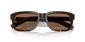 Root Tortoise / Dark Brown (17N60M)