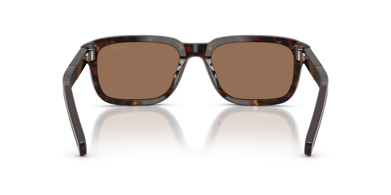 Prada PRD16SF in Root Tortoise - Alternate View