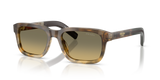 Oak Tortoise Gradient / Tundra Sfumato Bio (21P81B)