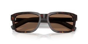 Root Tortoise / Dark Brown (17N60M)