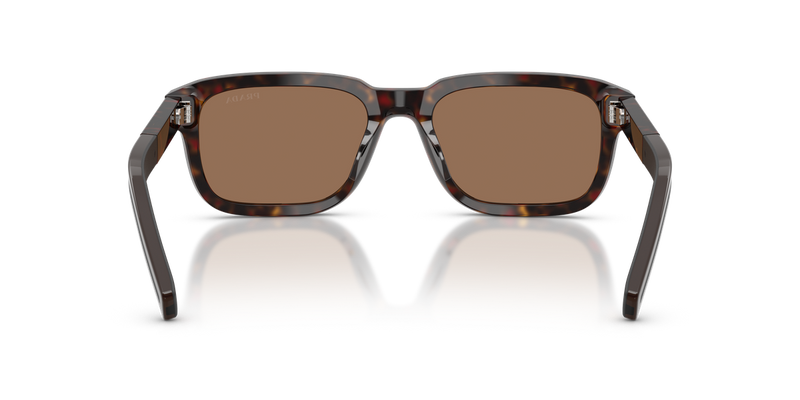 Prada PRD16S in Root Tortoise - Alternate View