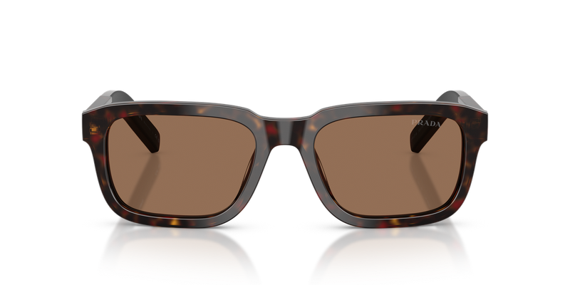 Prada PRD16S in Root Tortoise - Alternate View
