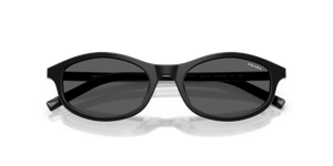 Black/basalt Horn / Dark Grey (29O20Z)