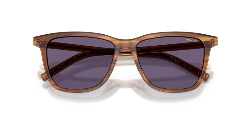 Prada PRD18SD in Striped Rosewood - Alternate View