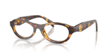 Honey Tortoise / Demo Lens (14L1O1)